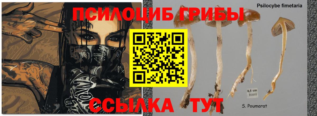 Галлюциногенные грибы Magic Shrooms Алушта