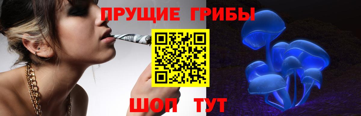 Псилоцибиновые грибы прущие грибы  Вход с VPN  где найти   Алушта 